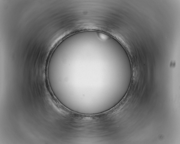 X0000092250390200709141010