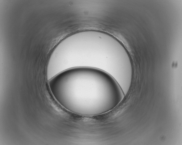 X0000092250393200709141010