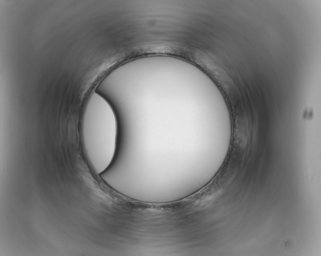 X0000092250394200709141010