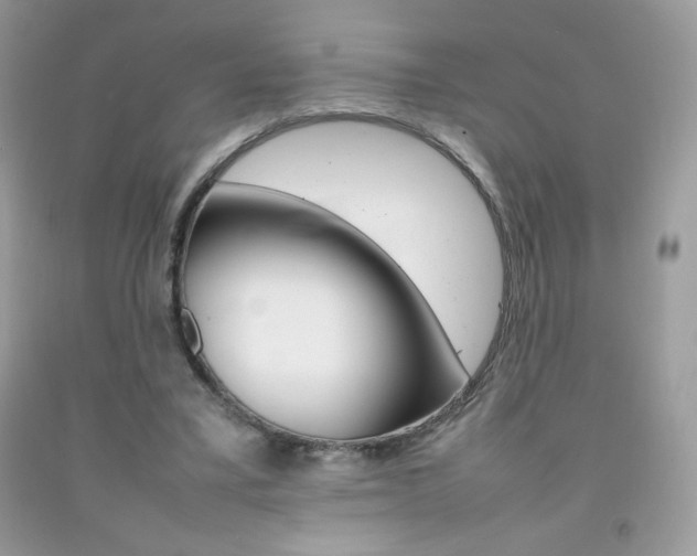 X0000092250395200709141010