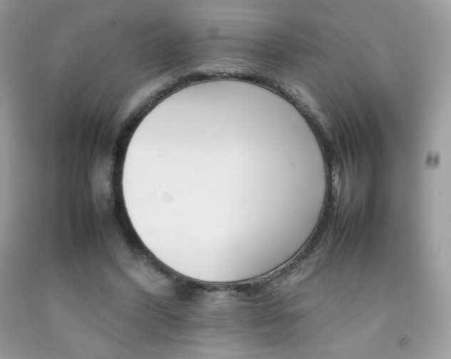 X0000092250396200709141010