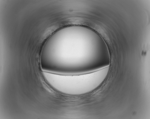 X0000092250397200709141010