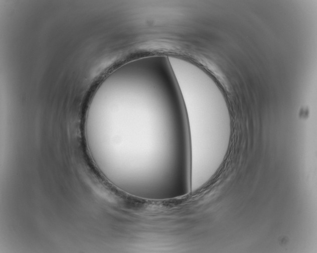 X0000092250399200709141010