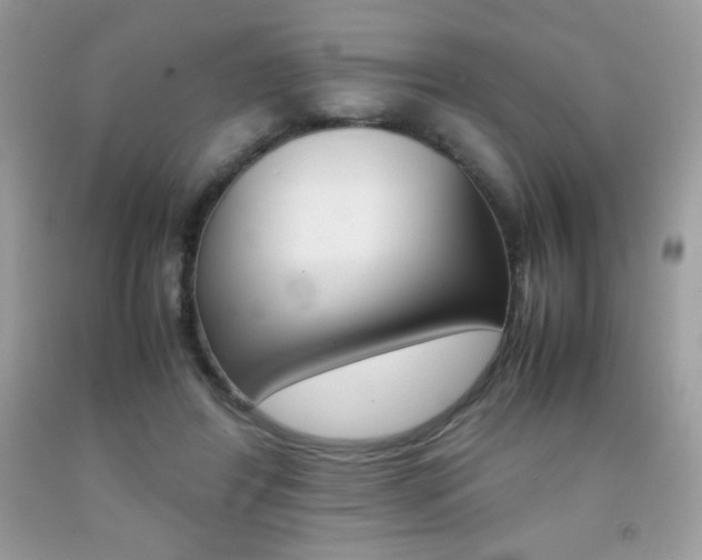 X0000092250404200709141009