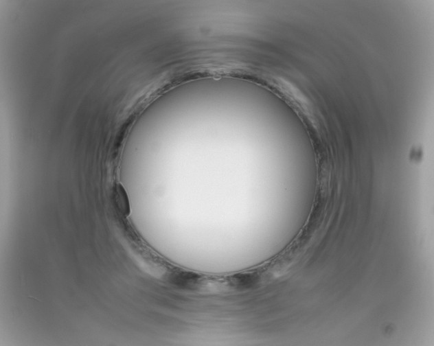 X0000092250405200709141009