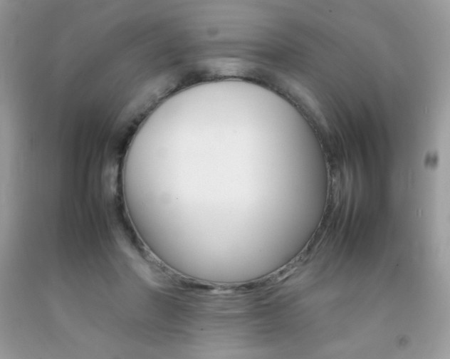X0000092250406200709141009