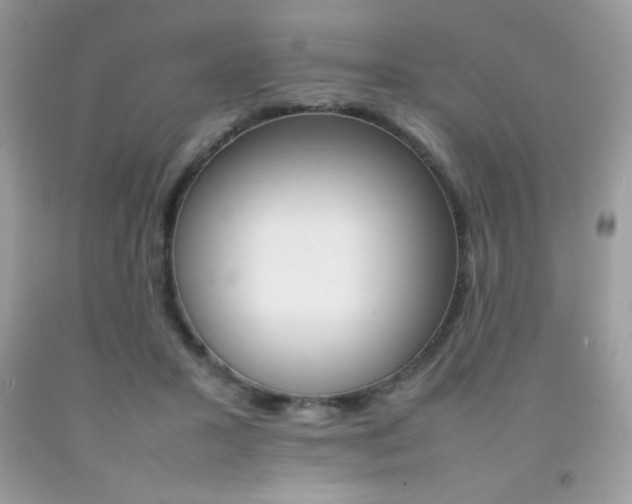 X0000092250407200709141009