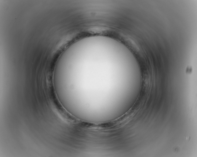 X0000092250408200709141009