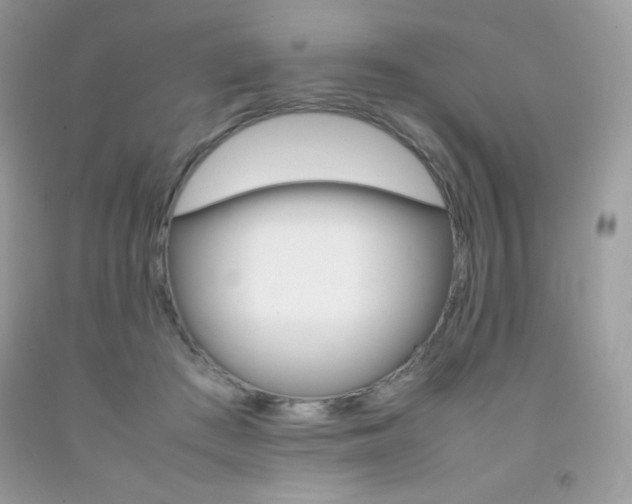 X0000092250409200709141009