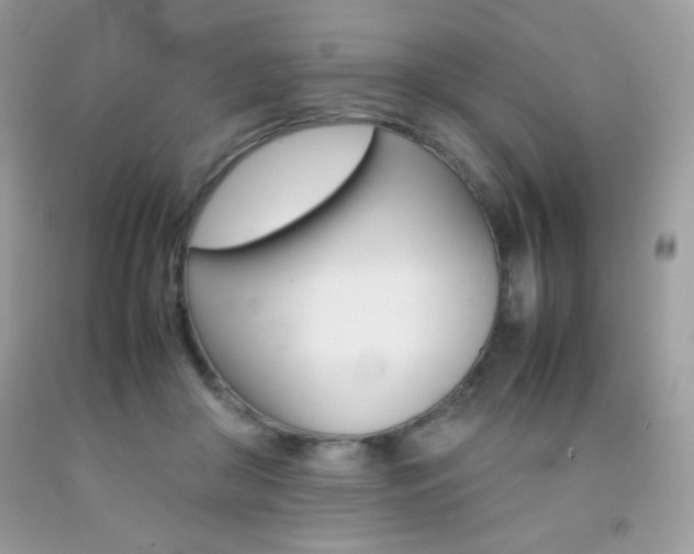 X0000092250410200709141009