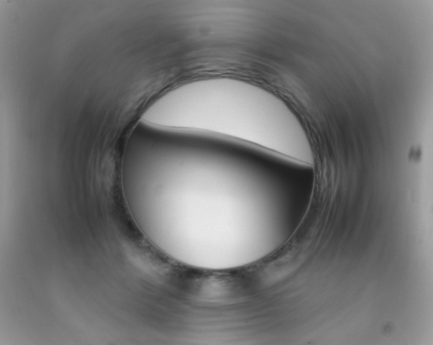 X0000092250412200709141009