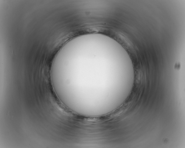 X0000092250414200709141009