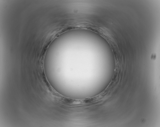 X0000092250415200709141009