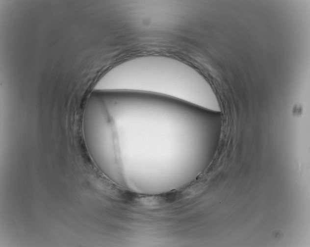 X0000092250417200709141009