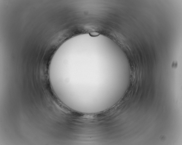 X0000092250418200709141009