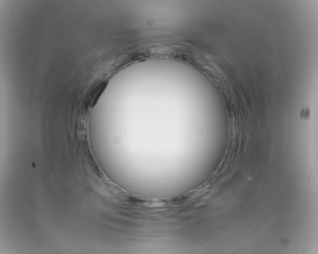 X0000092250419200709141009