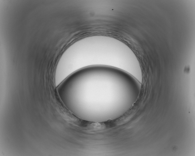 X0000092250421200709141009