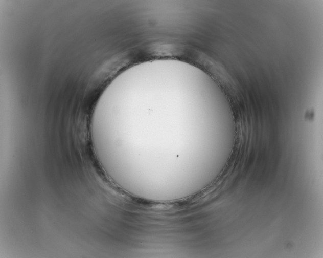 X0000092250422200709141009
