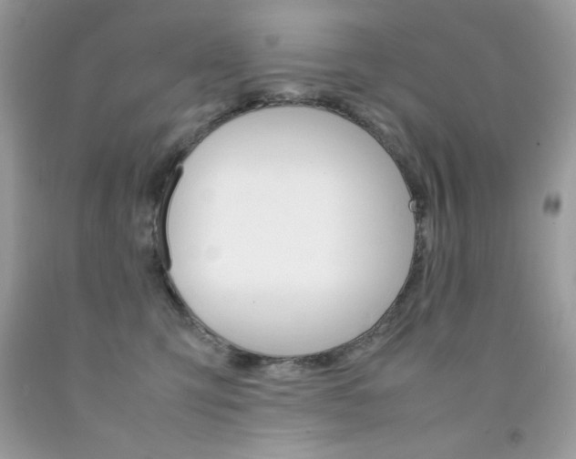 X0000092250423200709141009