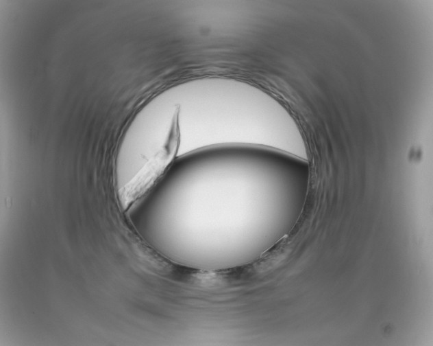 X0000092250425200709141009