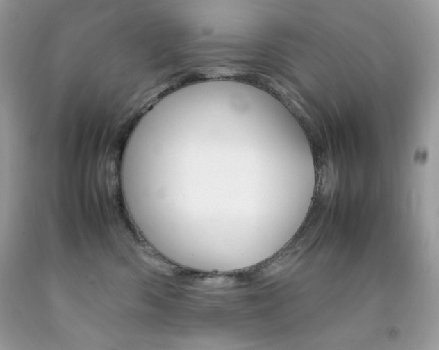 X0000092250426200709141009