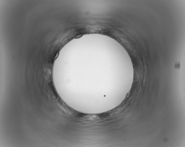 X0000092250427200709141009