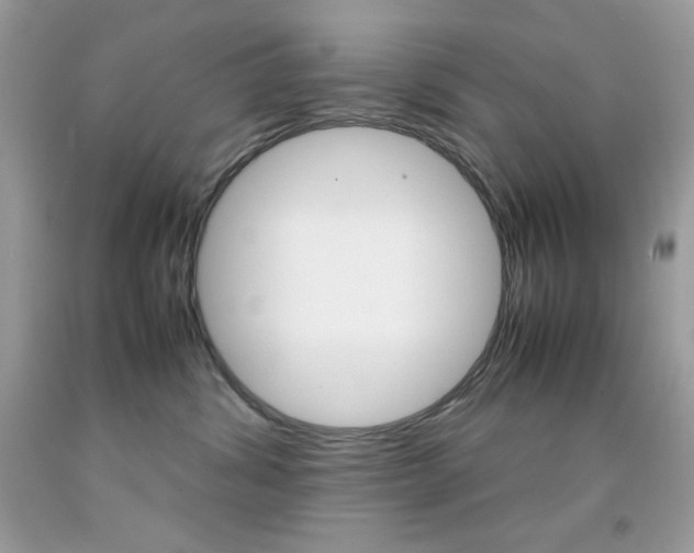 X0000092250428200709141009