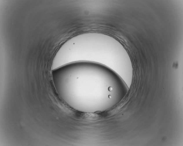 X0000092250429200709141009