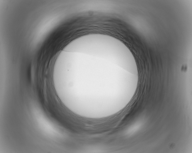 X0000092250431200709141009