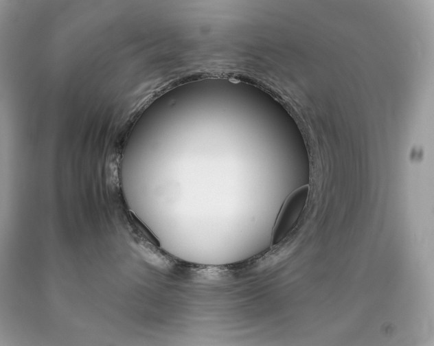 X0000092250432200709141009
