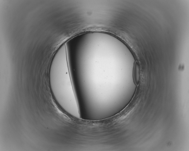 X0000092250433200709141008