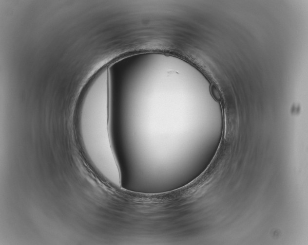 X0000092250435200709141009