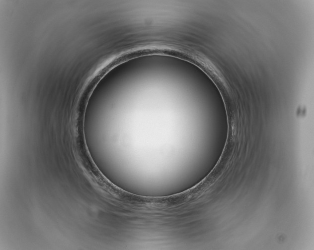 X0000092250436200709141009