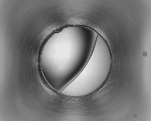 X0000092250438200709141009
