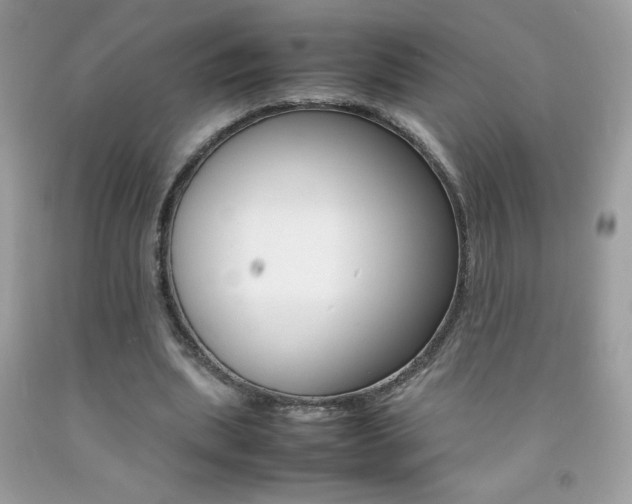 X0000092250439200709141009