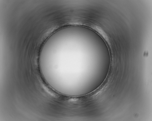 X0000092250441200709141009