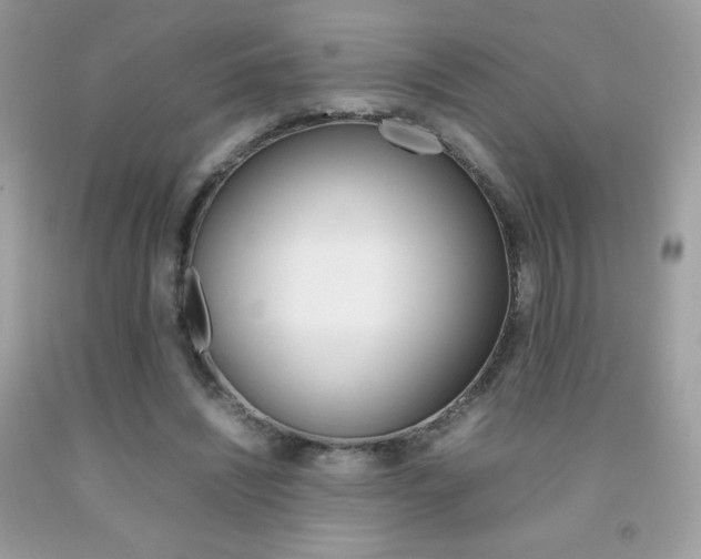 X0000092250444200709141009
