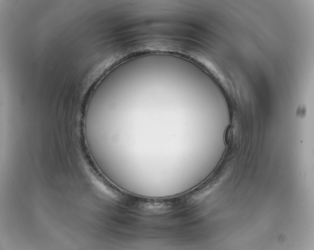 X0000092250445200709141009