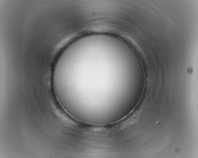 X0000092250446200709141009