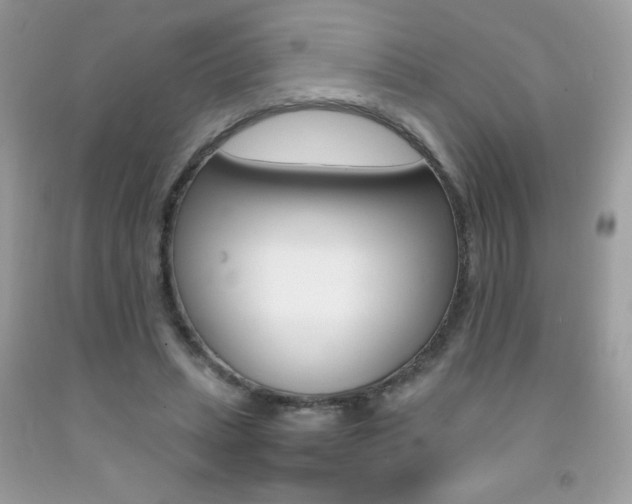 X0000092250447200709141009