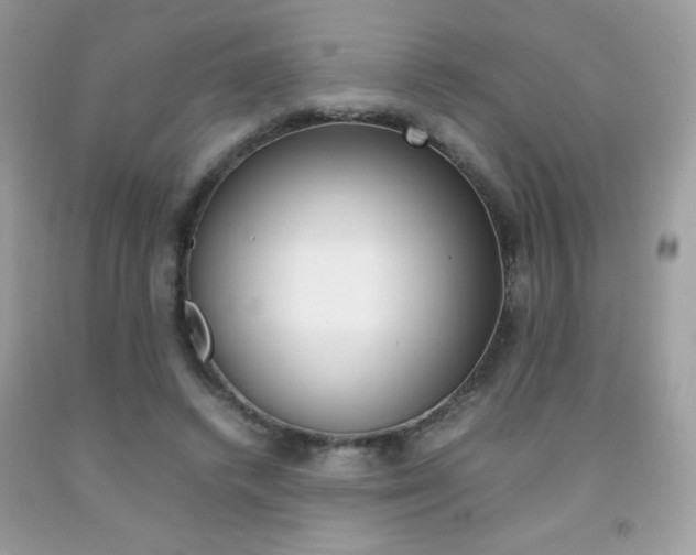 X0000092250448200709141009