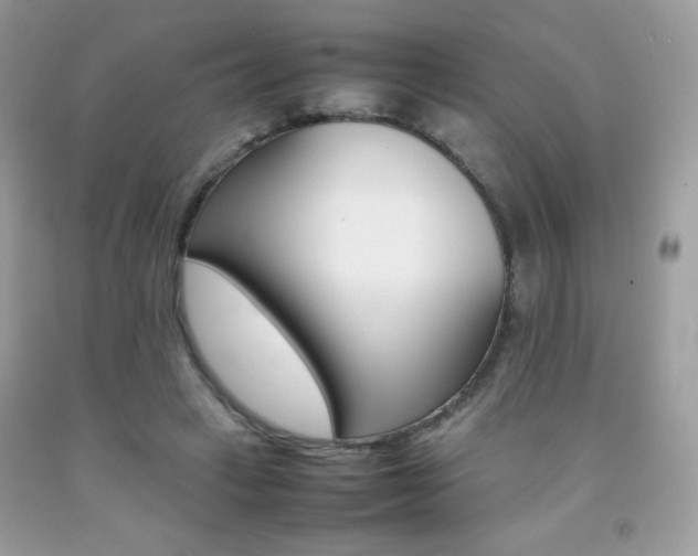X0000092250449200709141009