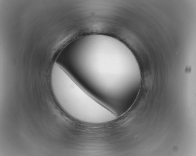 X0000092250450200709141009