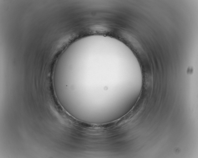 X0000092250451200709141009
