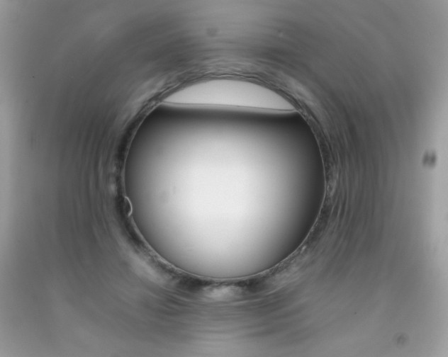 X0000092250452200709141009