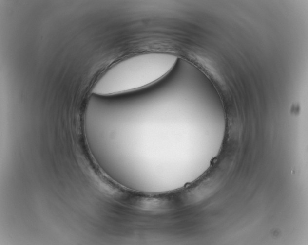 X0000092250453200709141009