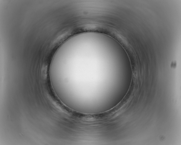 X0000092250454200709141009
