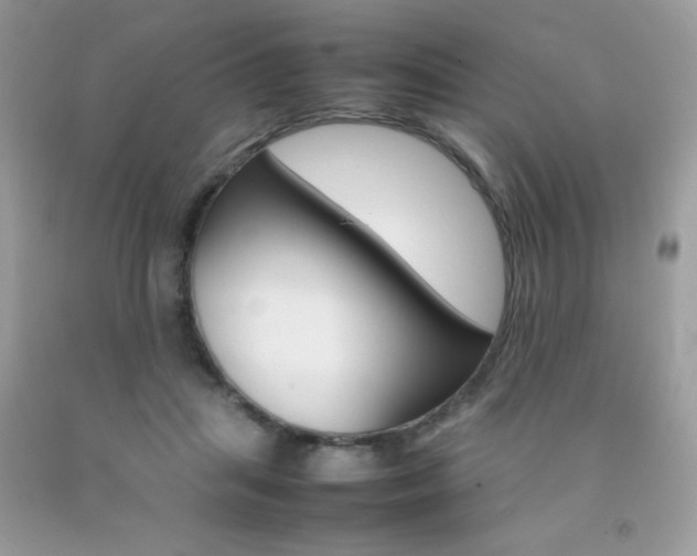 X0000092250455200709141009