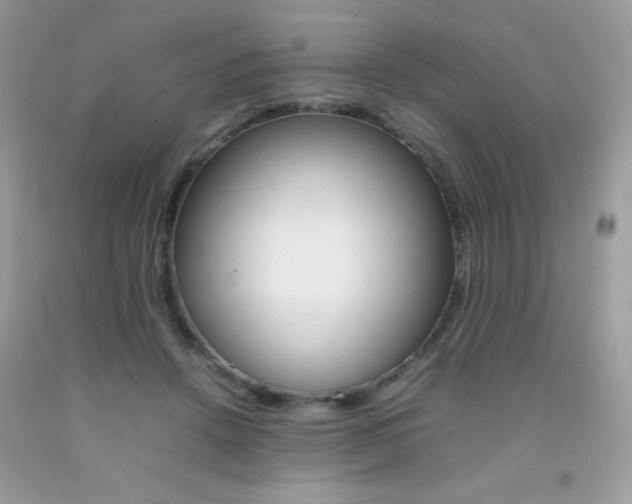 X0000092250456200709141009