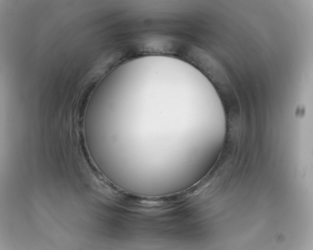 X0000092250457200709141009